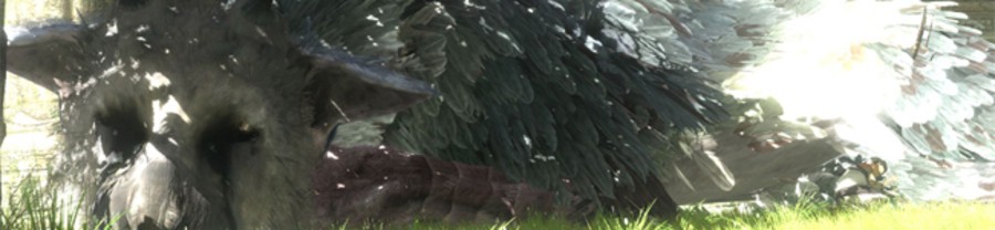 The Last Guardian PS4