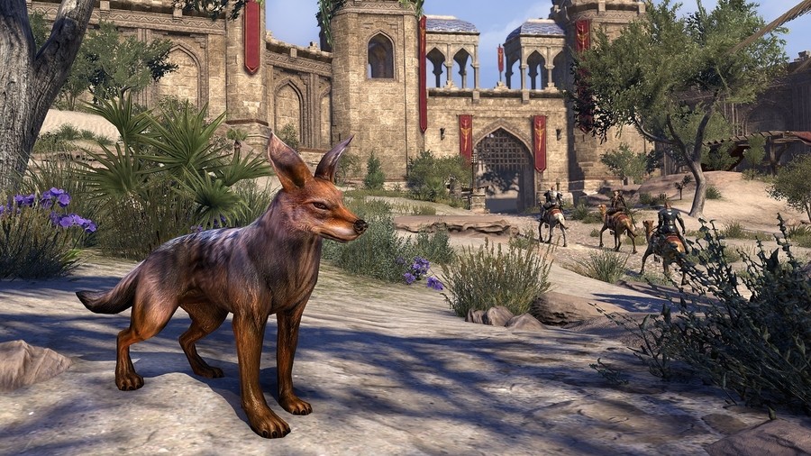 eso pet 2.jpg