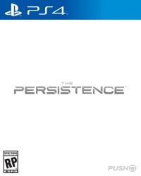 The Persistence Cover