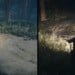 Days Gone Remastered PS5 Amplifies the Horror Compared to Its PS4 Predecessor