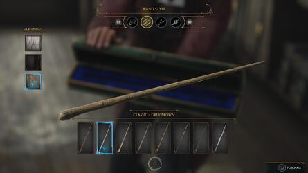 Hogwarts Legacy Best Wand: What Type of Wand Should You Choose? Guide 3