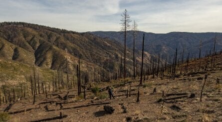 Horizon Forbiddent West Play And Plant Column Cali En 11feb22