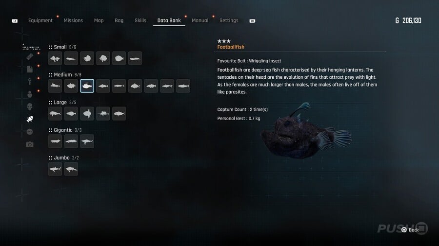 Stellar Blade: All Fish Locations and How to Catch Them 41