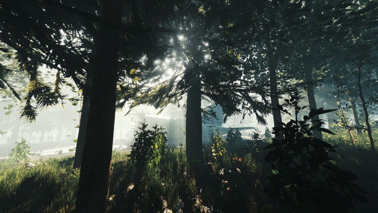 Nocturnal Cannibals Consume PS4 in Survival Horror The Forest | Push Square