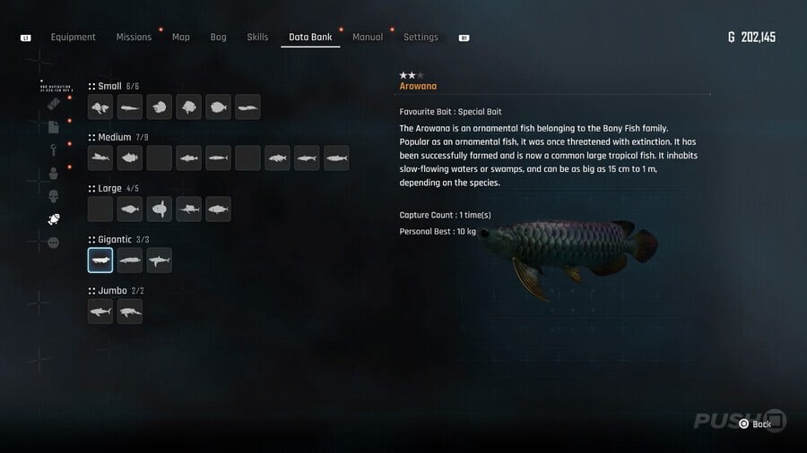Stellar Blade: All Fish Locations and How to Catch Them 19