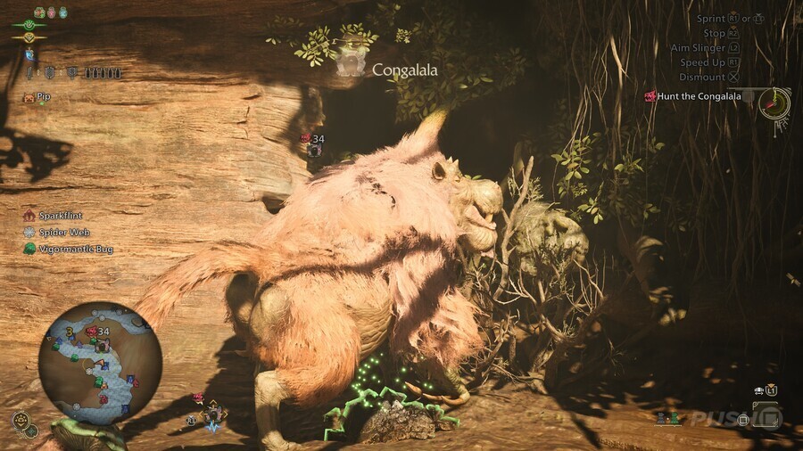 Monster Hunter Wilds: How to Beat Congalala - All Weaknesses and Rewards 1