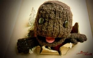 EPIC SACKBOY GET!