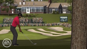 What would you pay for a patch to enhance Tiger Woods?