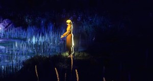 Among the reeds