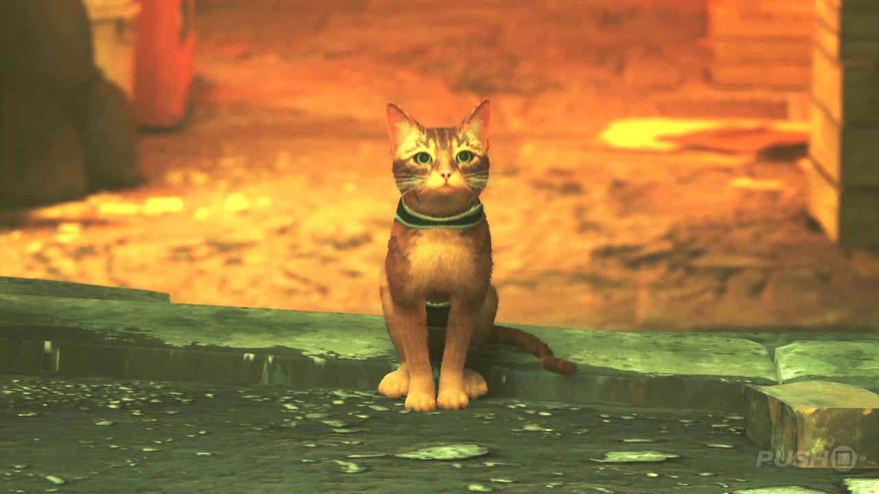 Inside the new PS5 video game Stray that everyone's talking about where you  get to play as a CAT