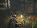 Elden Ring: All Golden Seed Locations
