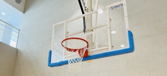 A close-up of a basketball hoop at Pearl Abyss