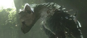 Team Ico Will Blow Out Coverage On The Last Guardian This Year.