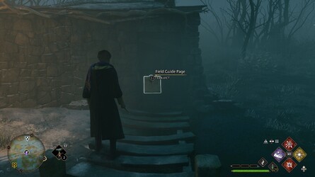 모든 필드 가이드 페이지 Locations > South Sea Bog > Abandoned Bothy - 3 of 4