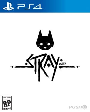 Stray