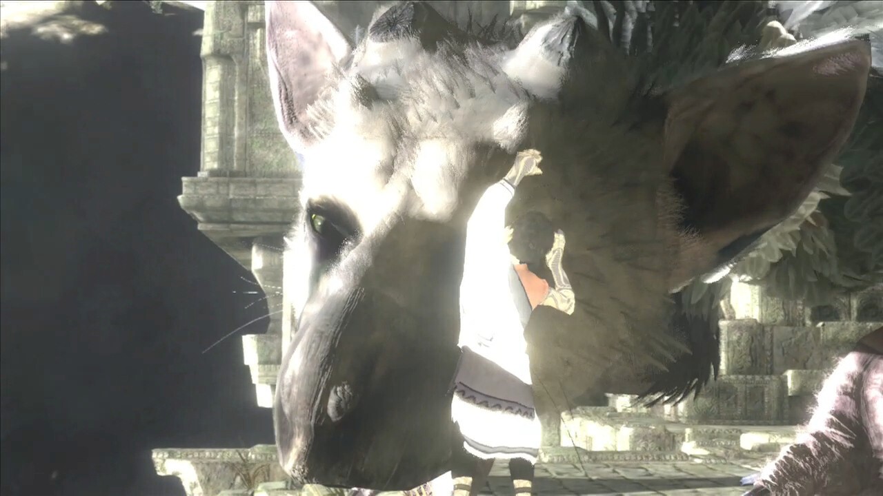 You May Be Seeing New Info on The Last Guardian in the Near Future ...