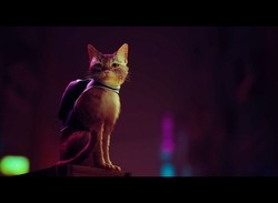 PS5, PS4 Cat Sim Stray Is Still on Schedule for 2022
