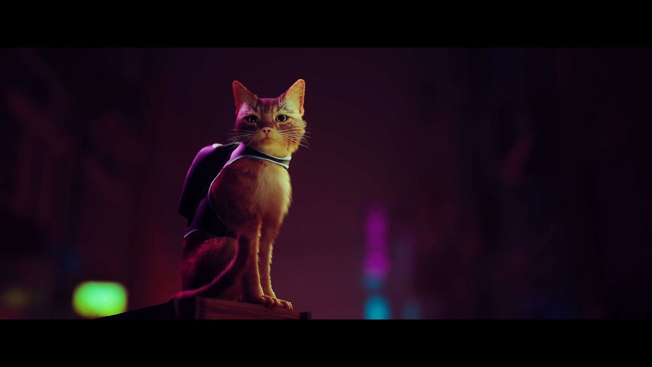 Inside the new PS5 video game Stray that everyone's talking about where you  get to play as a CAT