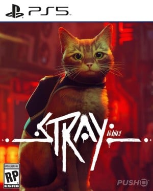 Stray