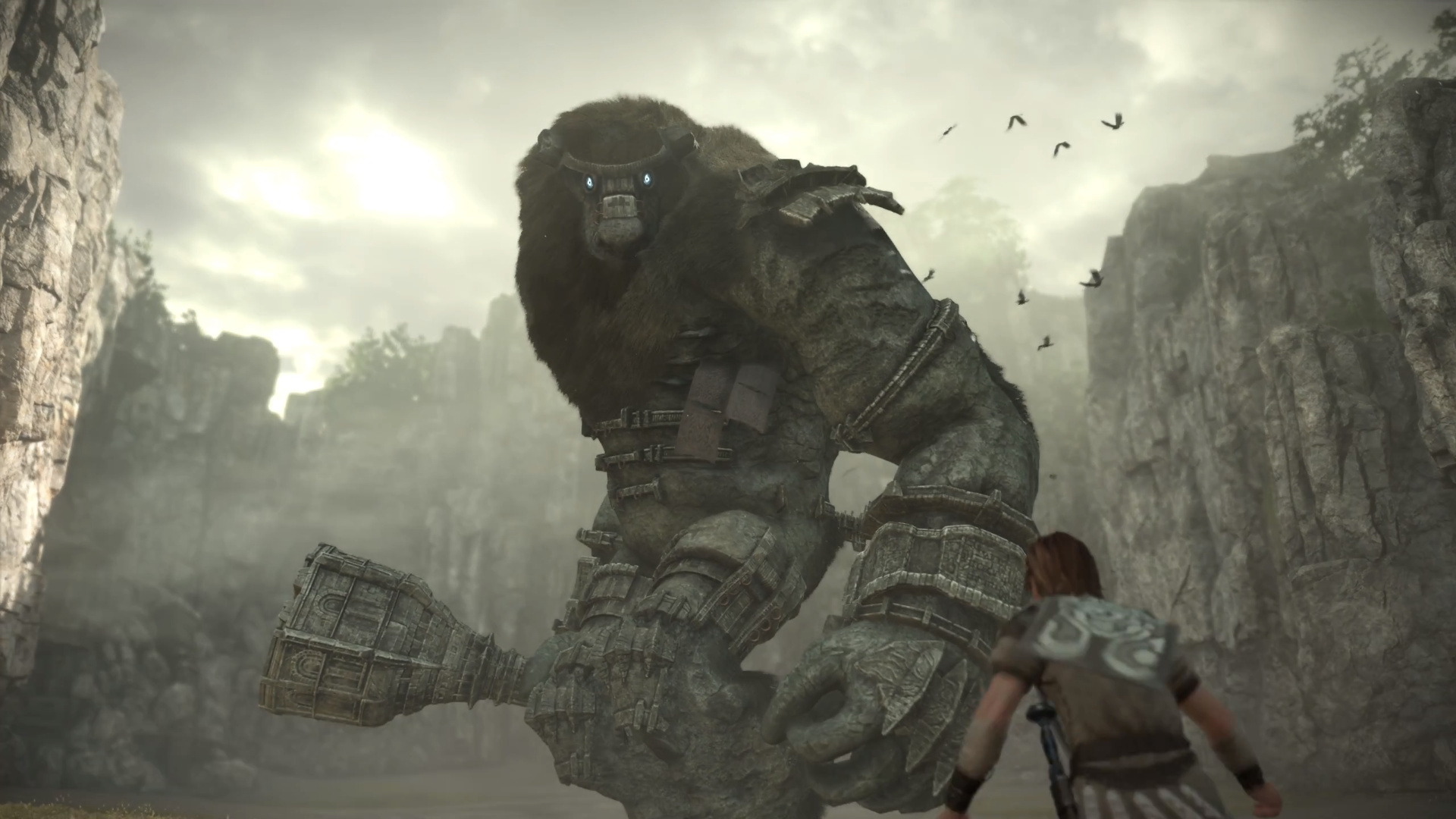 shadow of the colossus ps store