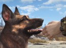 Fallout 4's Canine Companion Is Based on This Very Happy Dog