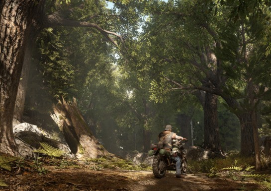 PS4 Exclusive Days Gone Looks Insane on PS4 Pro