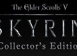 Check Out The Skyrim Collector's Edition