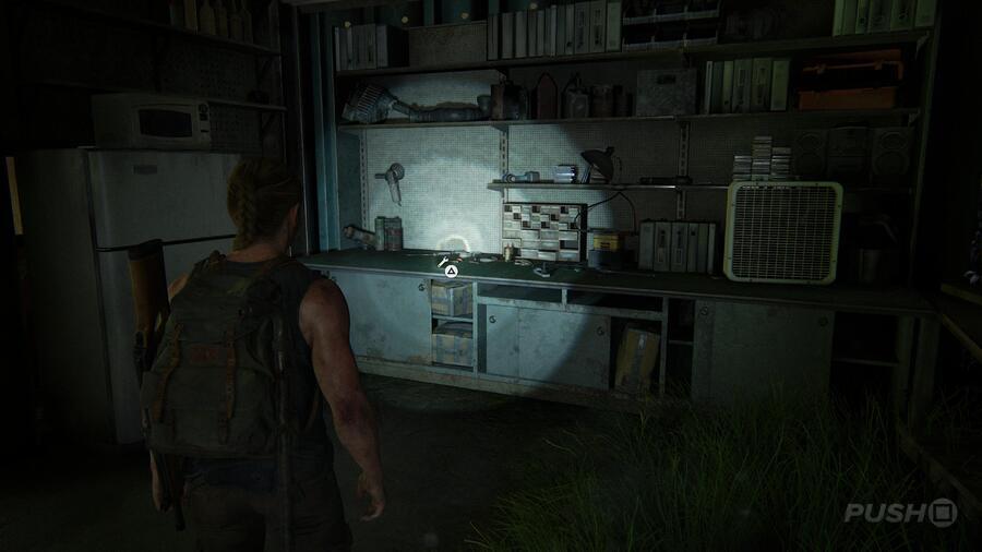 The Last of Us 2: On Foot Collectibles Guide 14