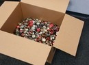 Fallout 4 Fan Successfully Pre-Orders Sequel with Bottle Caps