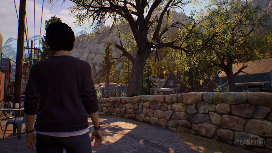 Life Is Strange: True Colors: How to Help the Birdwatcher Find Her Bird Guide 2