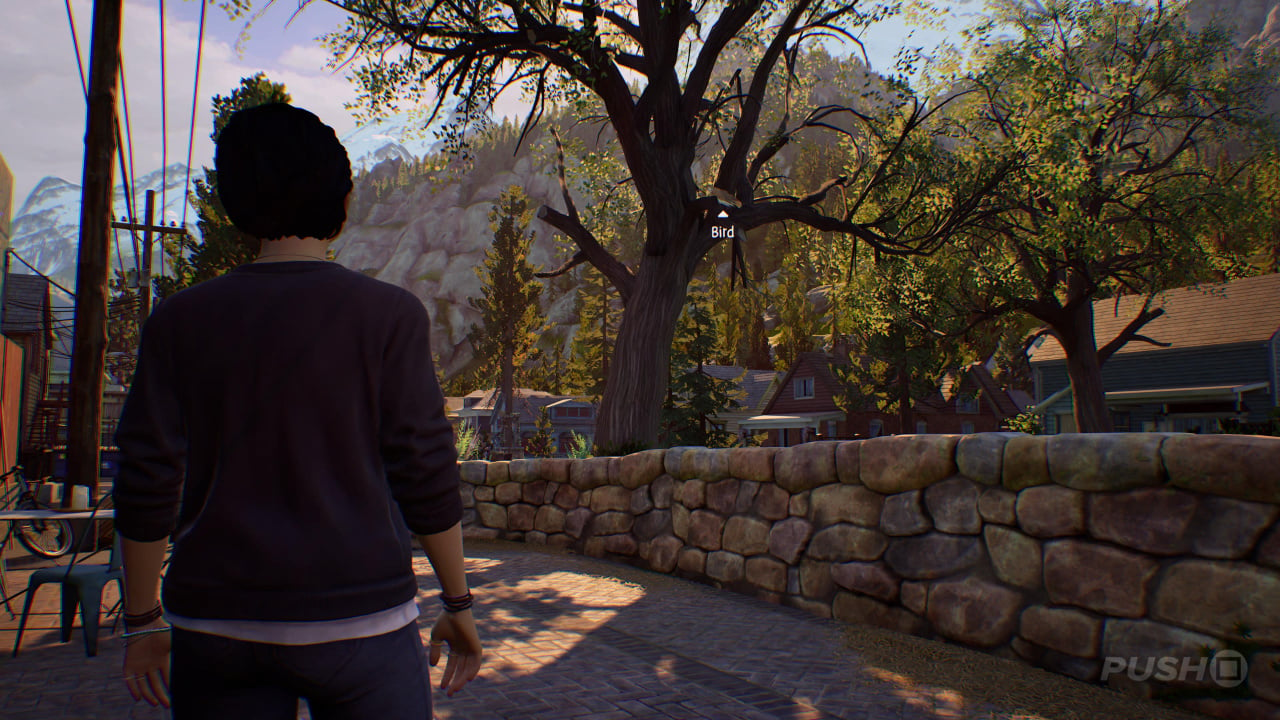 Bird spotter achievement/trophy guide in Life is Strange: True Colors -  Gamepur
