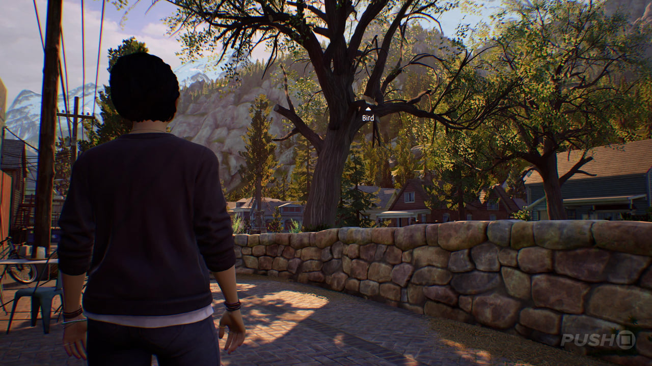 Life Is Strange: True Colors: How to Help the Birdwatcher Find Her Bird