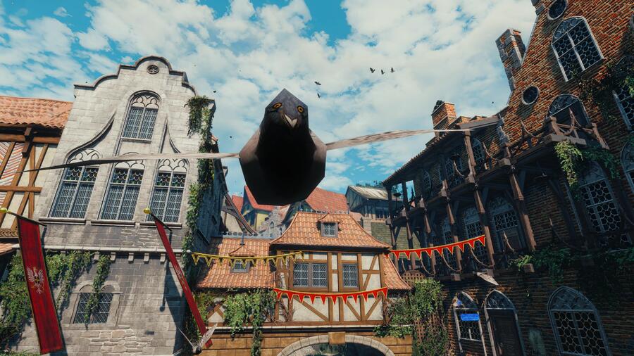 Witcher 3 pigeons