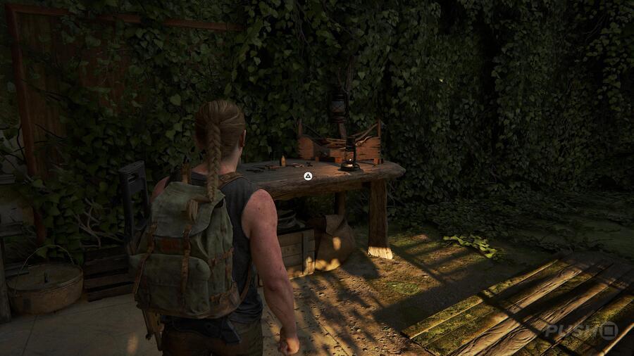 The Last of Us 2: Hostile Territory Collectibles Guide 36