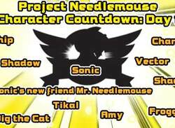 Project Needlemouse Character Reveal Hopefully Reveals Solo-Sonic