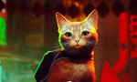 Stray (PS5) - Atmospheric Adventure Is the Cat's Pyjamas