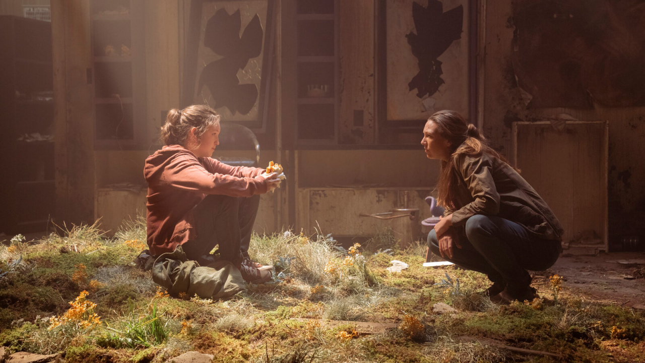 Where to Watch The Last of Us TV Show