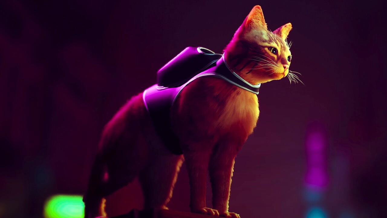 Stray Is a Cat's Perspective on a Dog's Life, Bringing Hope to Cyberpunk