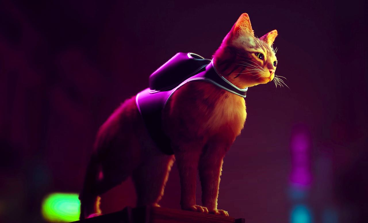 Stray for PS5 review: The game that'll make you want a cat