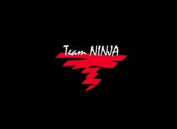 Team Ninja Readying Tokyo Game Show Reveal