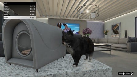 GTA Online: How to Start a Safehouse in the Hills and Best Mansions to Buy 17