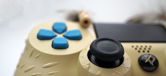 Custom Horizon: Zero Dawn PS4 Controller
