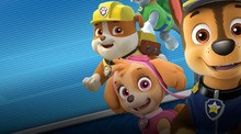 PAW Patrol: On a Roll