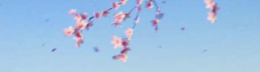 Forza Horizon 6 (PS5)