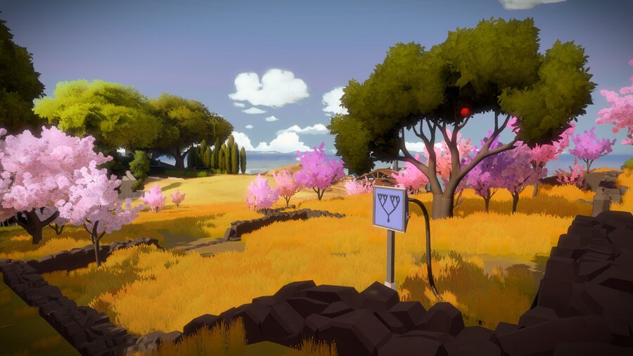 The Witness PS4 PlayStation 4 2