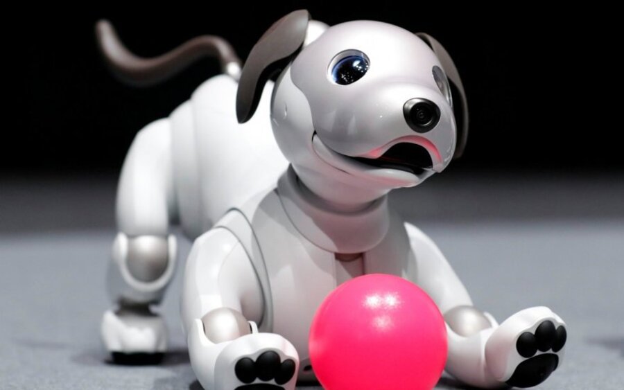 Aibo Sony Robot Dog 1