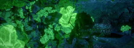 Crimson Desert: Charting the Unknown PS5 6