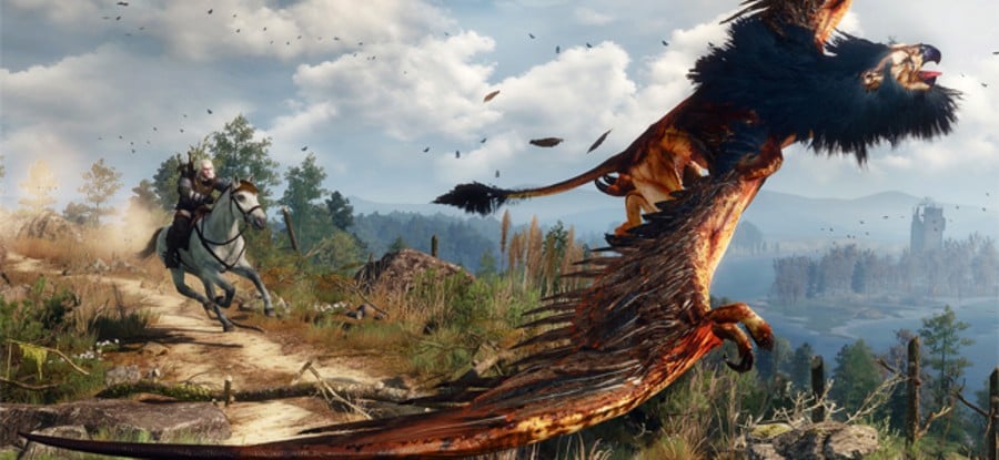 The Witcher 3 Wild Hunt PS4 PlayStation 4 Hints