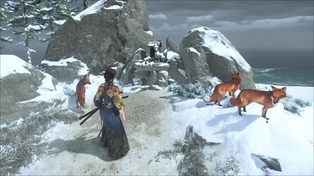 Ghost of Yotei: All Fox Dens and Inari Shrines Locations Guide 25
