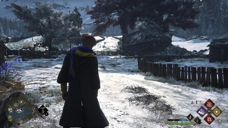 All Field Guide Pages Locations > Hogwarts Valley > Lace Doily - 1 of 4